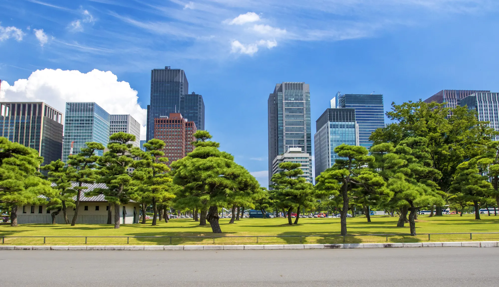 手入れされた松の木が並ぶ広い緑地の奥に、高層ビル群が立ち並ぶ都会の風景。青空の下、自然と都市が調和した開放的な景観が広がっている。